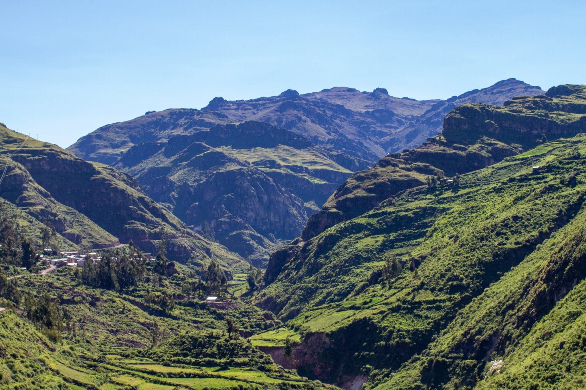 Andean Community Trademark Database Good for Biz