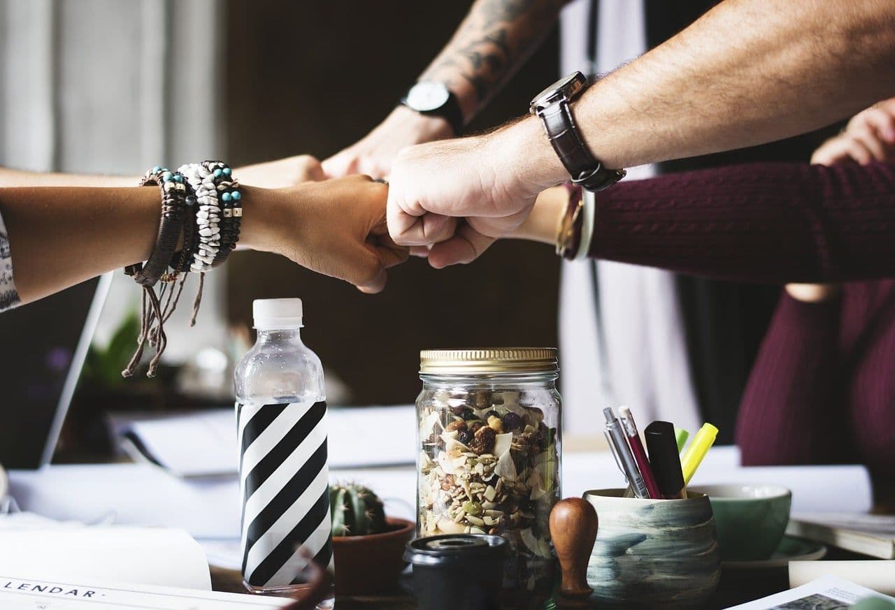 From Startups to Movers and Shakers: New Zealand Business Successes