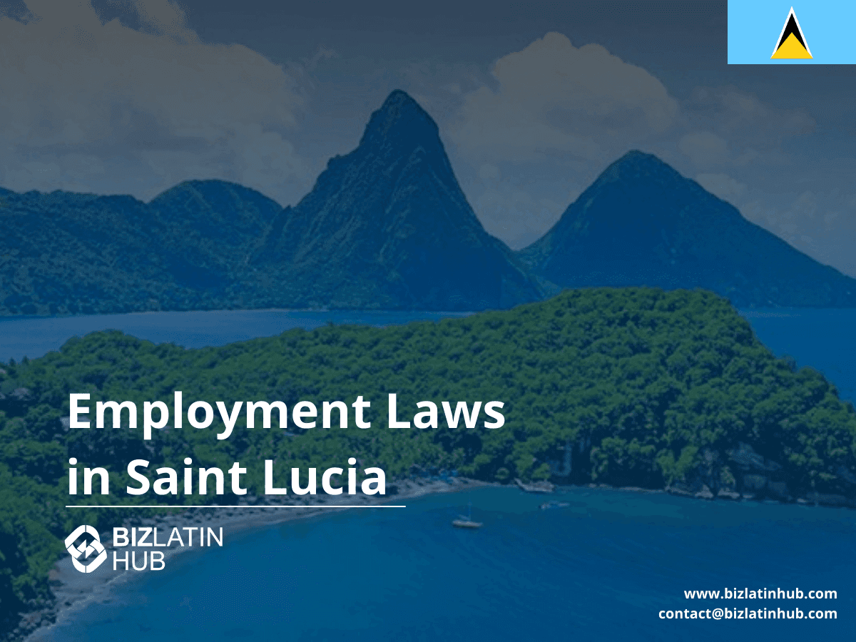 A Guide to Saint Lucia Labour Law for Employers
