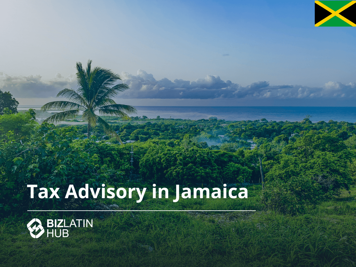 A Guide to Corporate Compliance Requirements in Jamaica