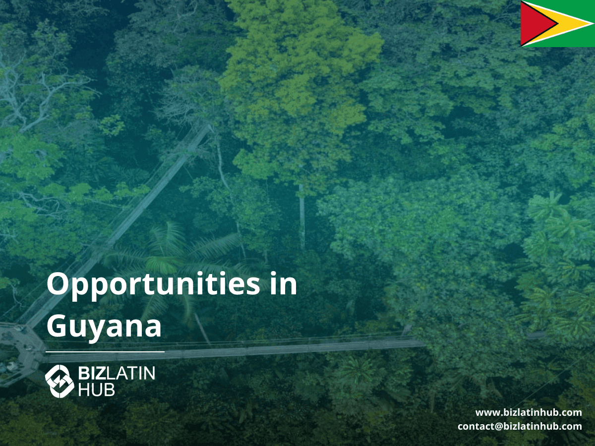 3 Business Opportunities in Guyana