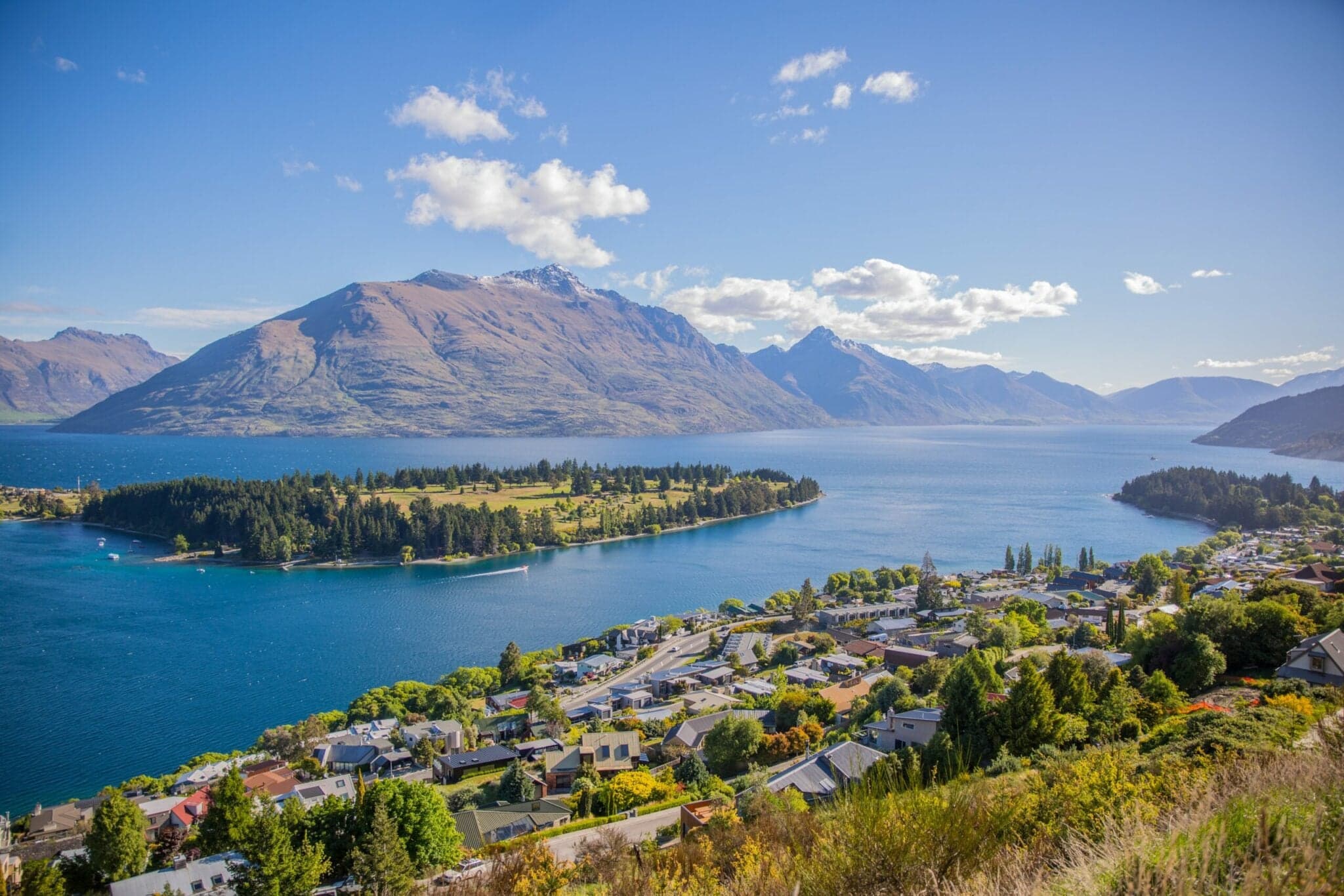 Pledge Boosts Biosecurity Safety for Business in New Zealand