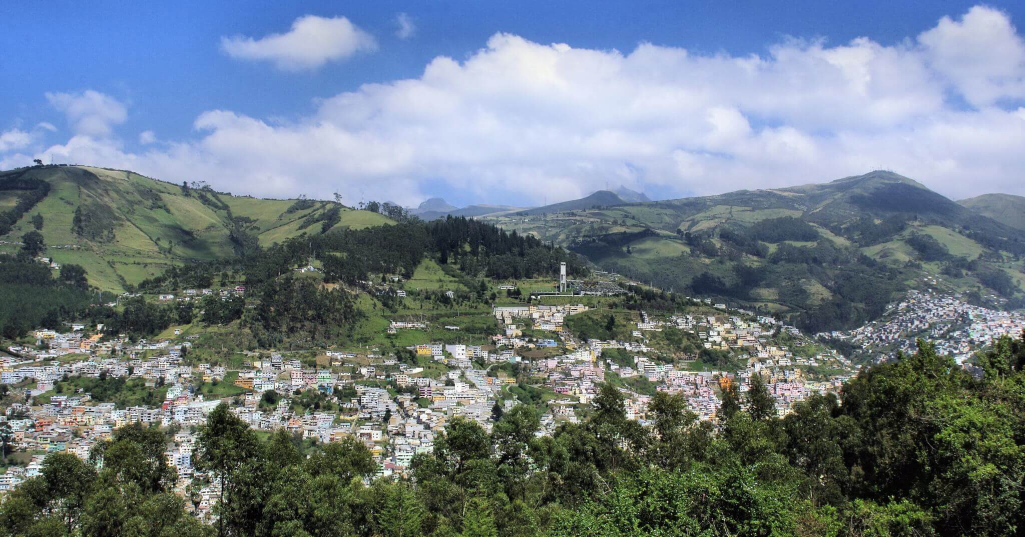 What is the Legal Framework for Cannabis Cultivation in Ecuador? Steps to get a license to grow