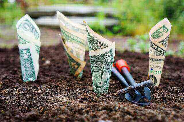 Industries Fueled by Foreign Direct Investment in New Zealand