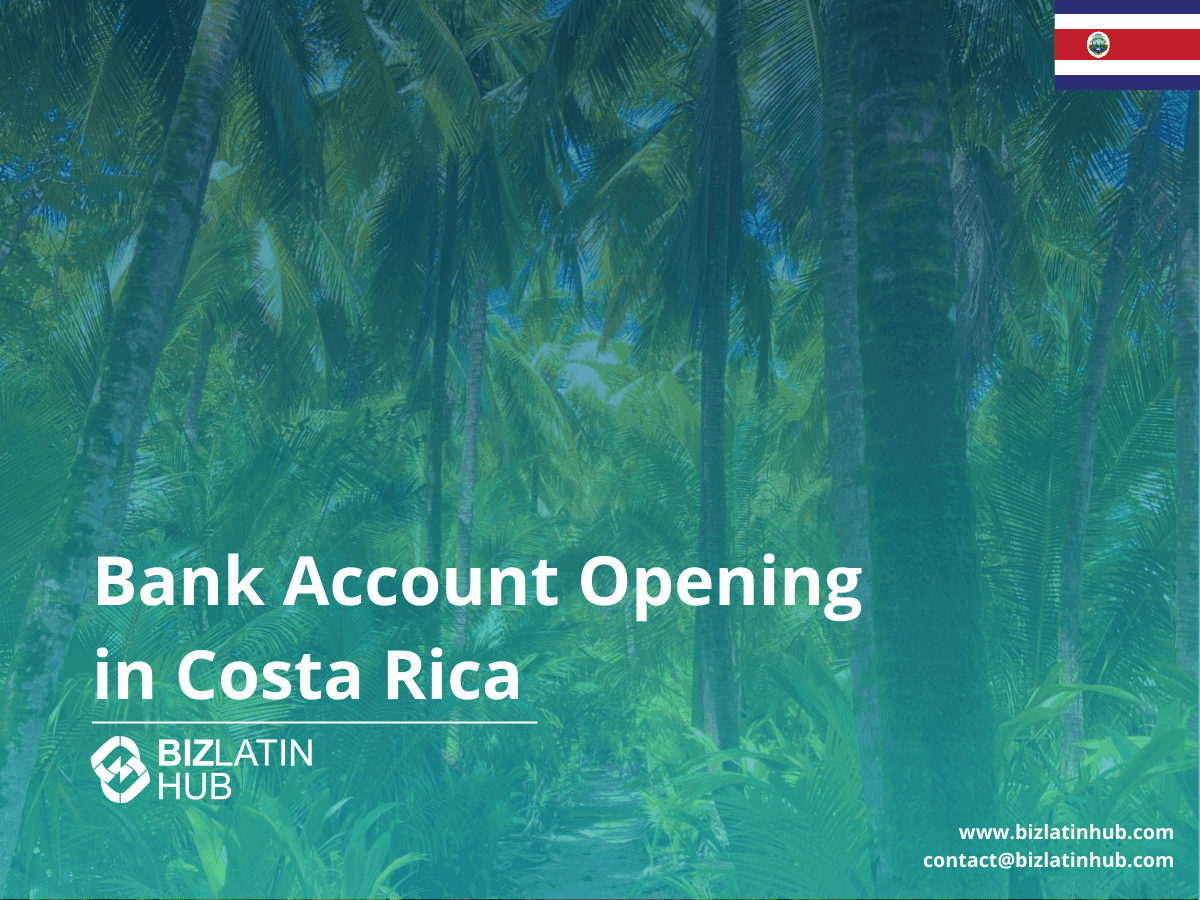 A Guide to Opening a Corporate Bank Account in Costa Rica
