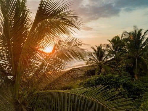 5 Key Reasons to Expand Your Business to Costa Rica