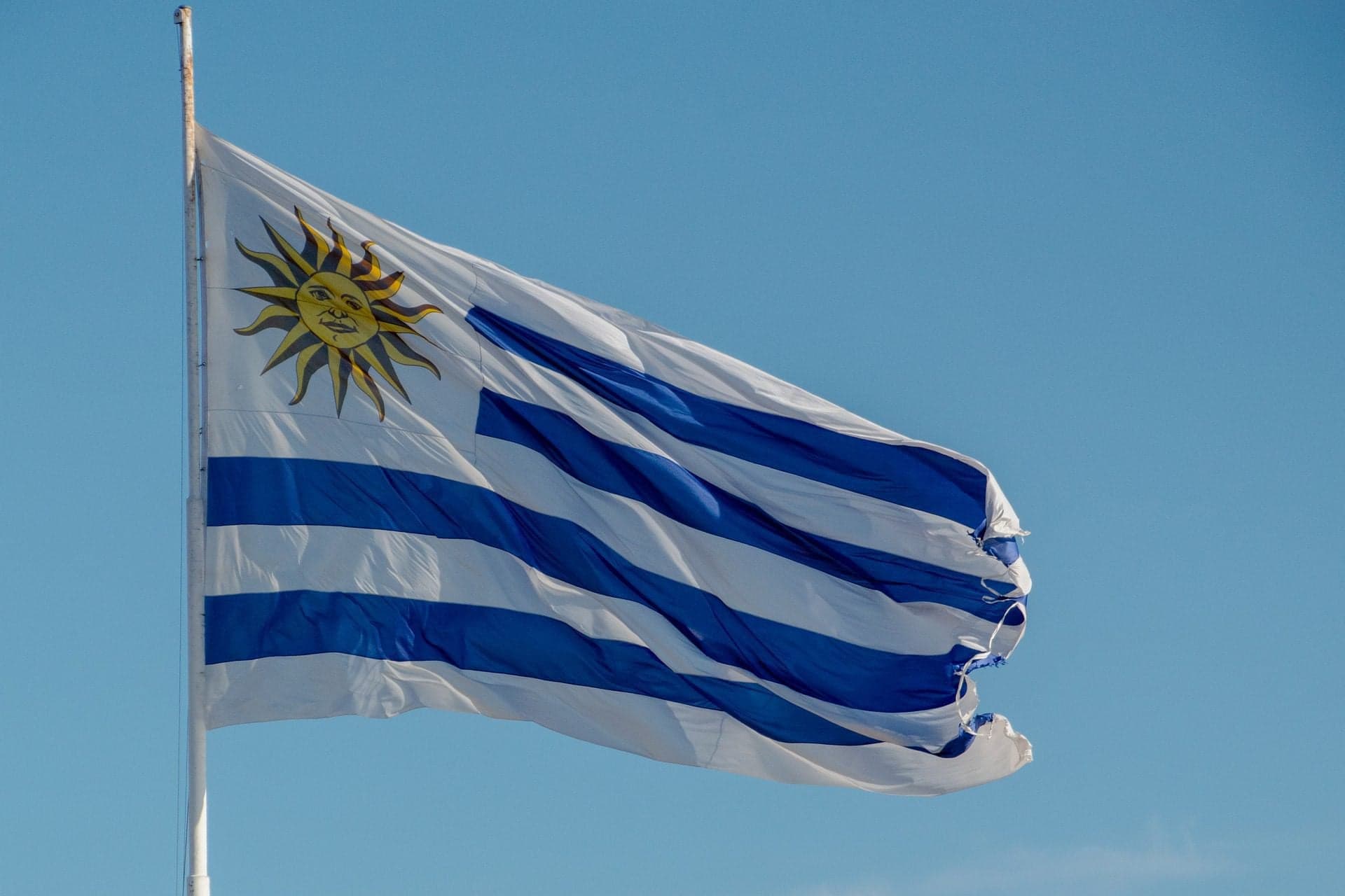 Corruption in Uruguay Lower Than US, Majority of EU