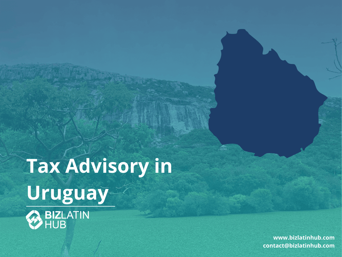 Types of Legal Entities in Uruguay: Formation Process & Business Structures