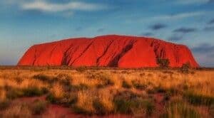 5 Essential Back Offices Services: Australian Investment In Latin America