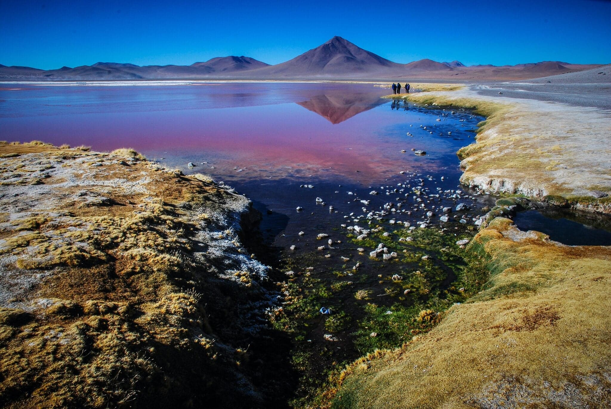 Find a Good Corporate Attorney in Bolivia