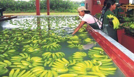 Ecuador’s Most Investment-Friendly Industries