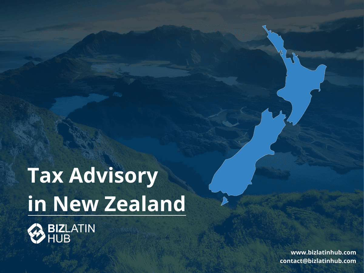 A Guide to Business Structures in New Zealand