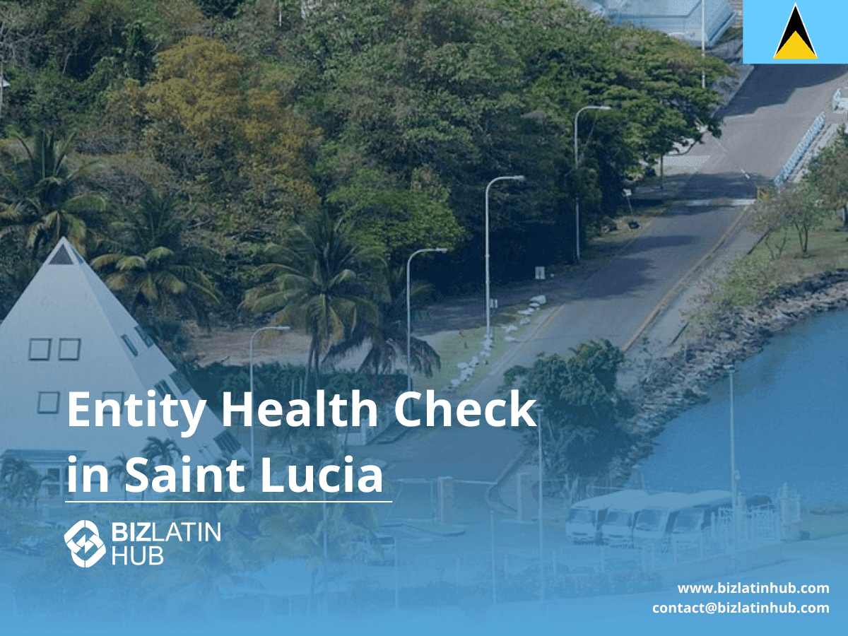 A Guide to an Entity Health Check in St. Lucia
