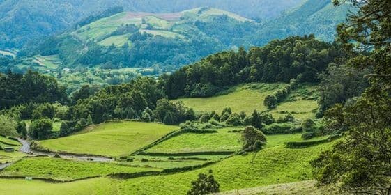 How to Buy a Coffee Plantation in Colombia?
