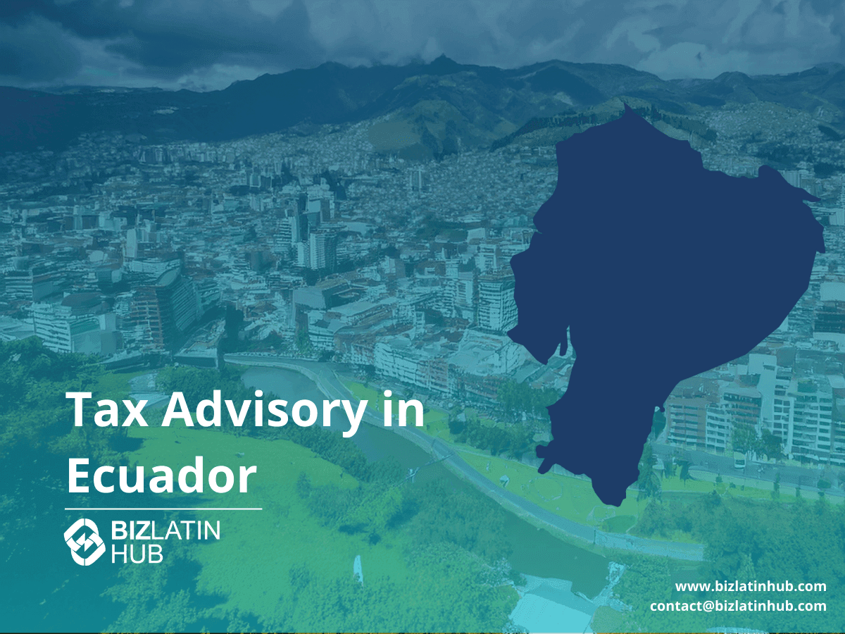 A Guide to Legal Entity Types in Ecuador