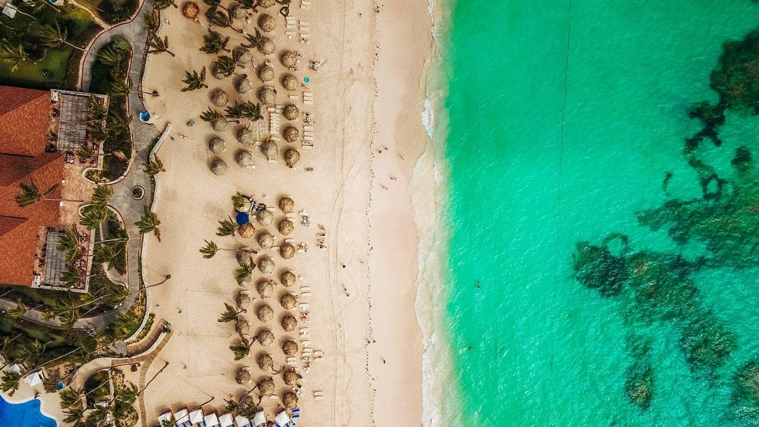 How to Form an NGO in the Dominican Republic