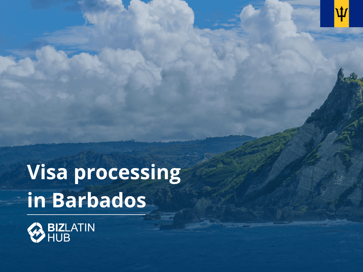 A Guide to Barbados Visas and Permits for Investors
