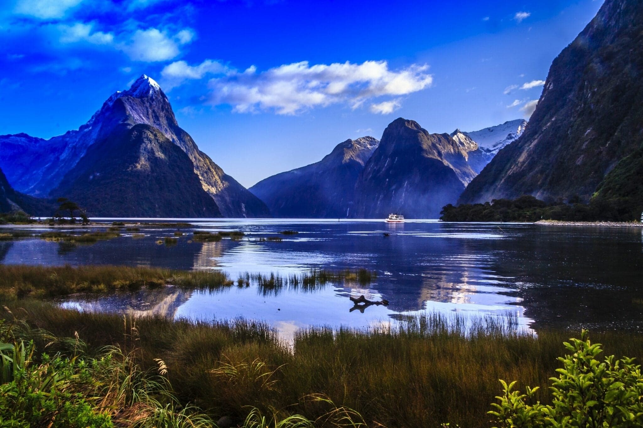 Do You Need a Legal Representative in New Zealand?