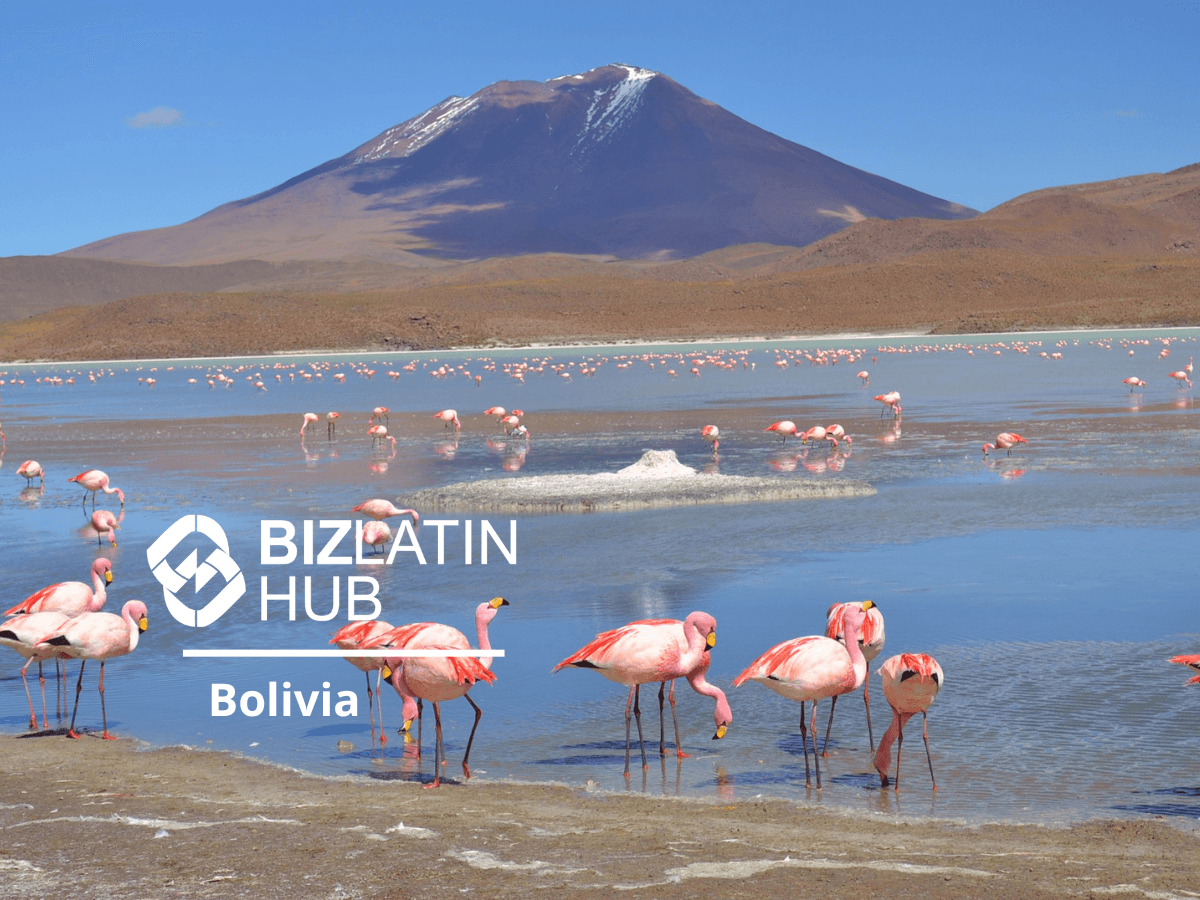 Investment Opportunities in Bolivia