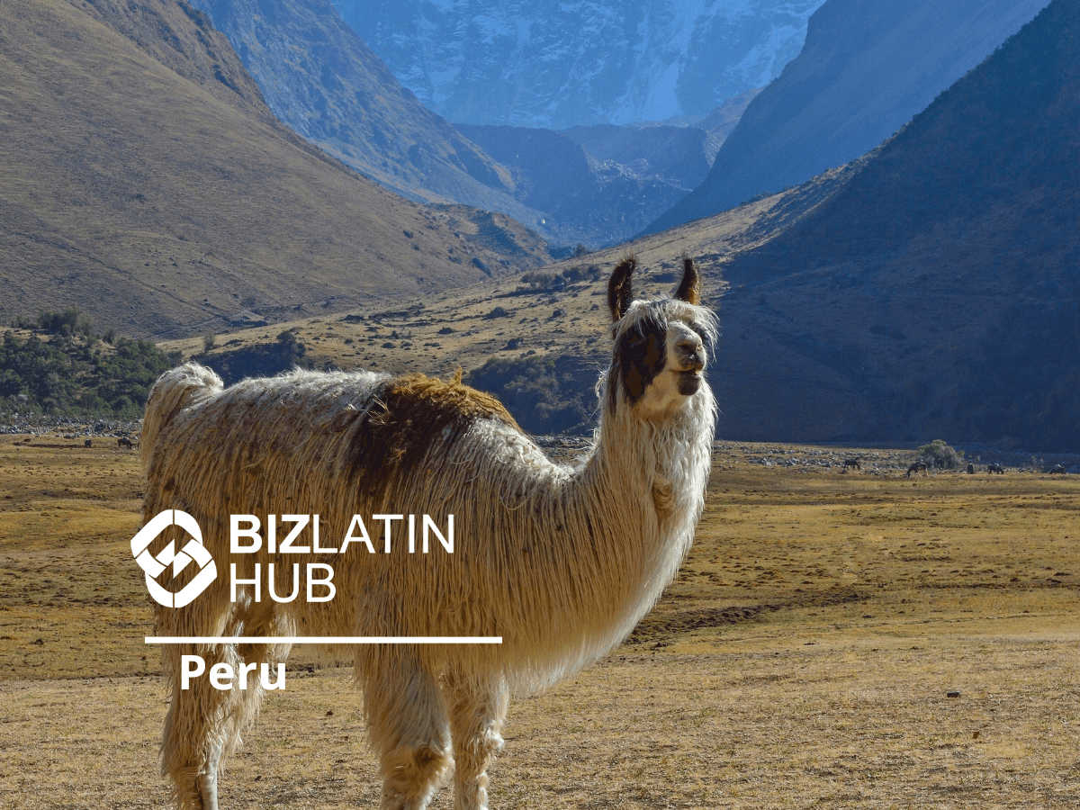 UBO in Peru: how to stay compliant