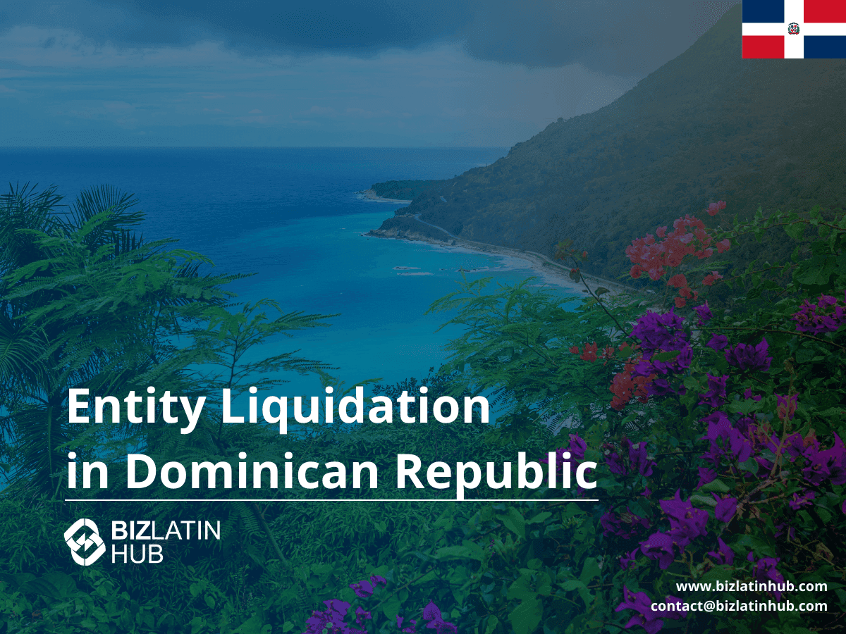 How to Liquidate a Company in the Dominican Republic | 2025 Legal Guide