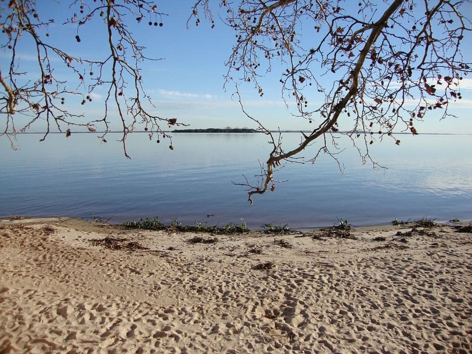 Why and How to Form a Branch in Uruguay