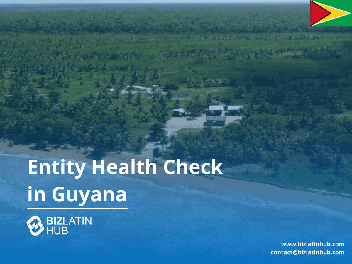 A Guide to an Entity Health Check in Guyana