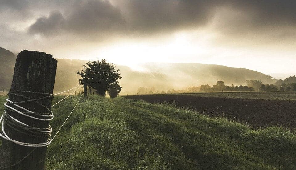 Agriculture in Latin America – What Can the Australian Market Expect?