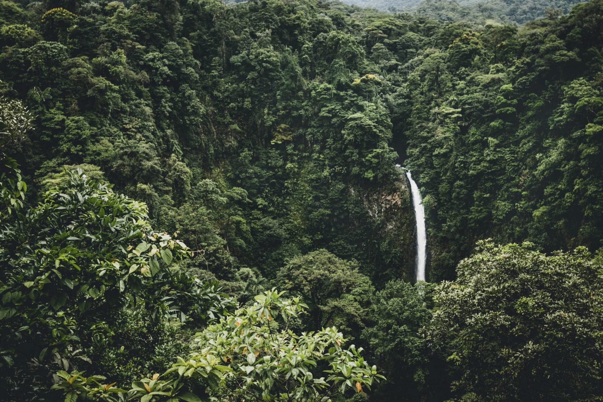 Trade and Business Development in the Andean Community of Nations