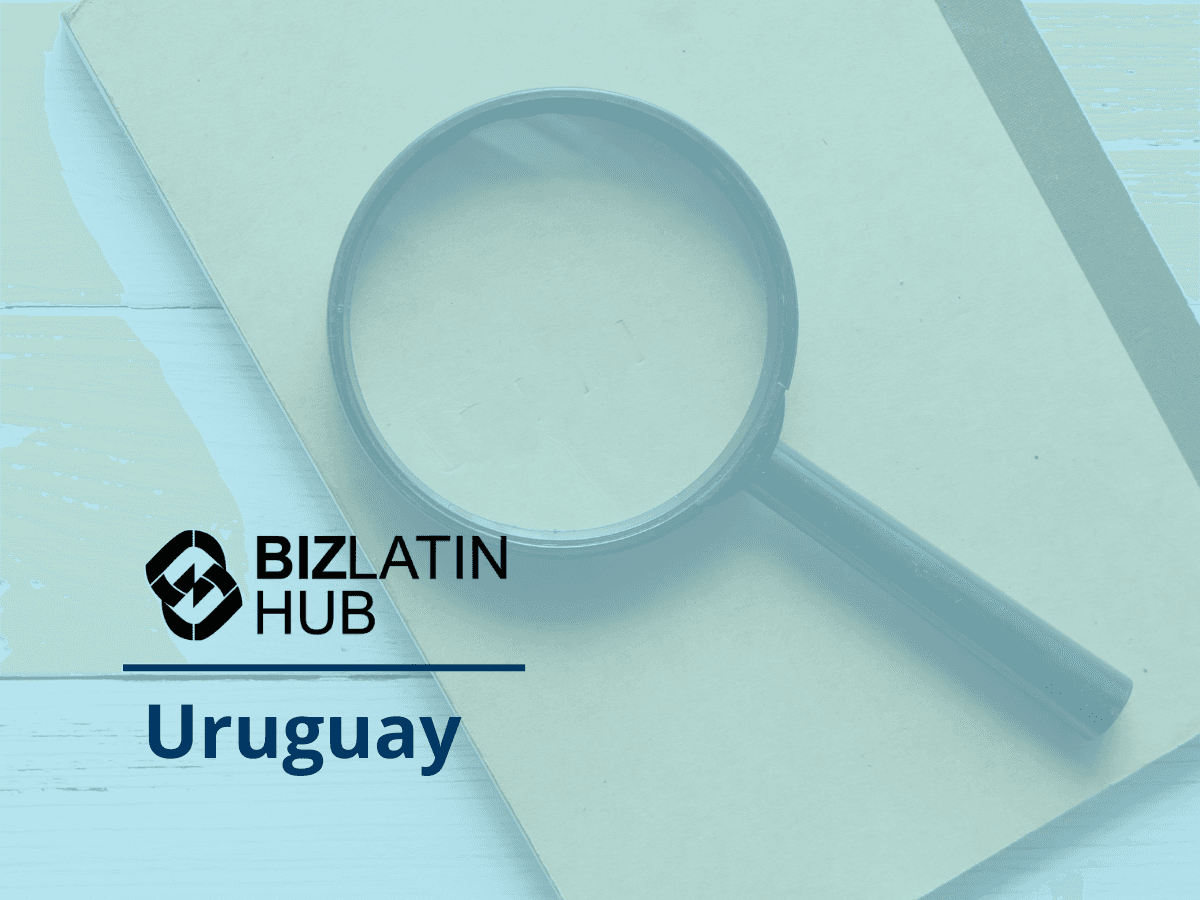 Auditor in Uruguay: Why do you need an auditor for your company?