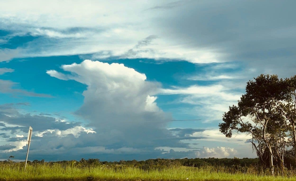 Register a Business in Guyana: a How-To Guide