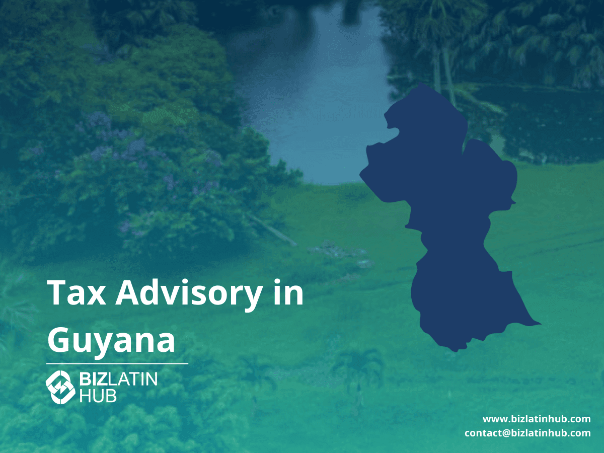 Types of Legal Entities in Guyana: Structures & Entities Guide
