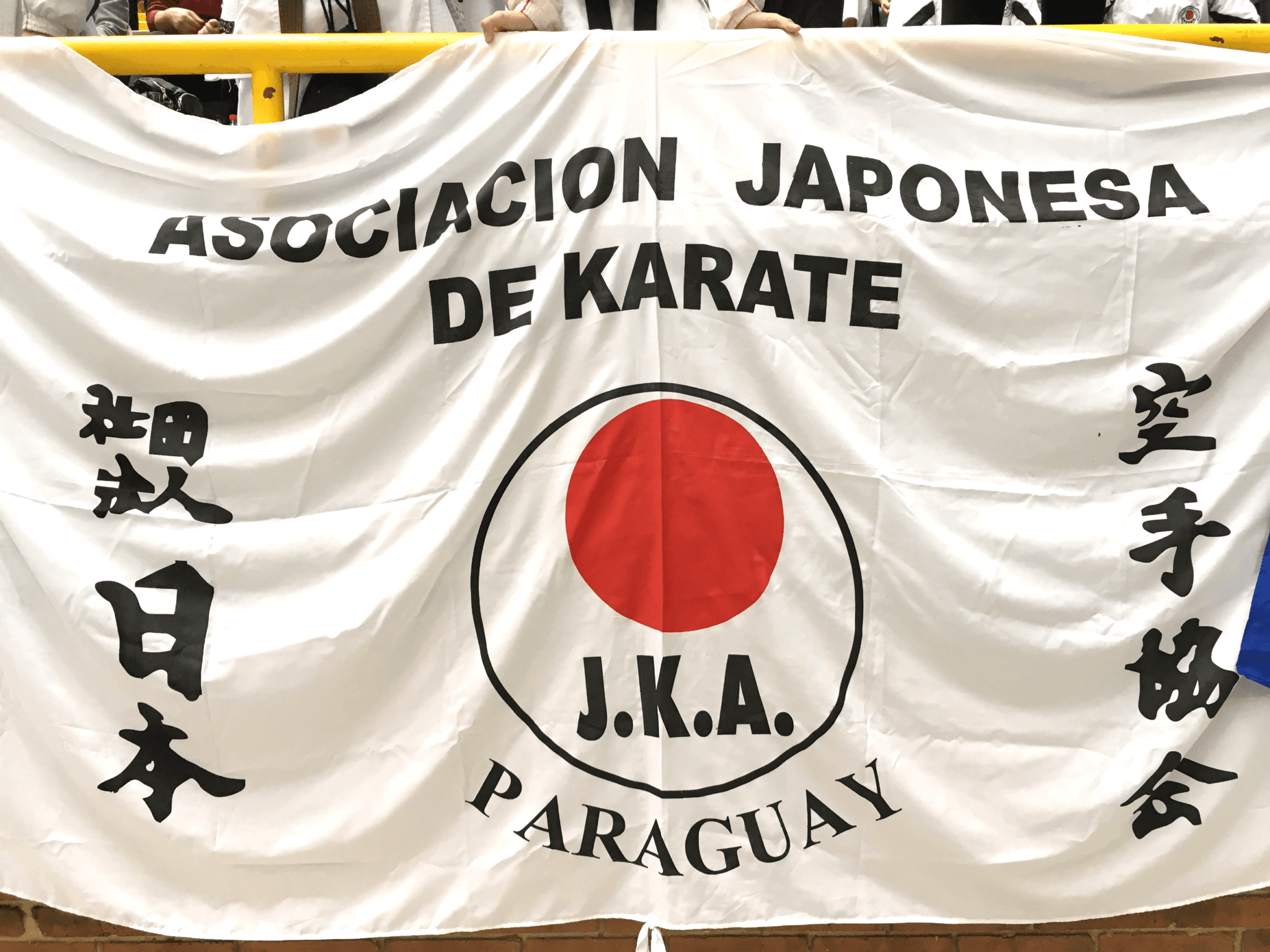 Panamerican Championships: the Evolution of LATAM Karate