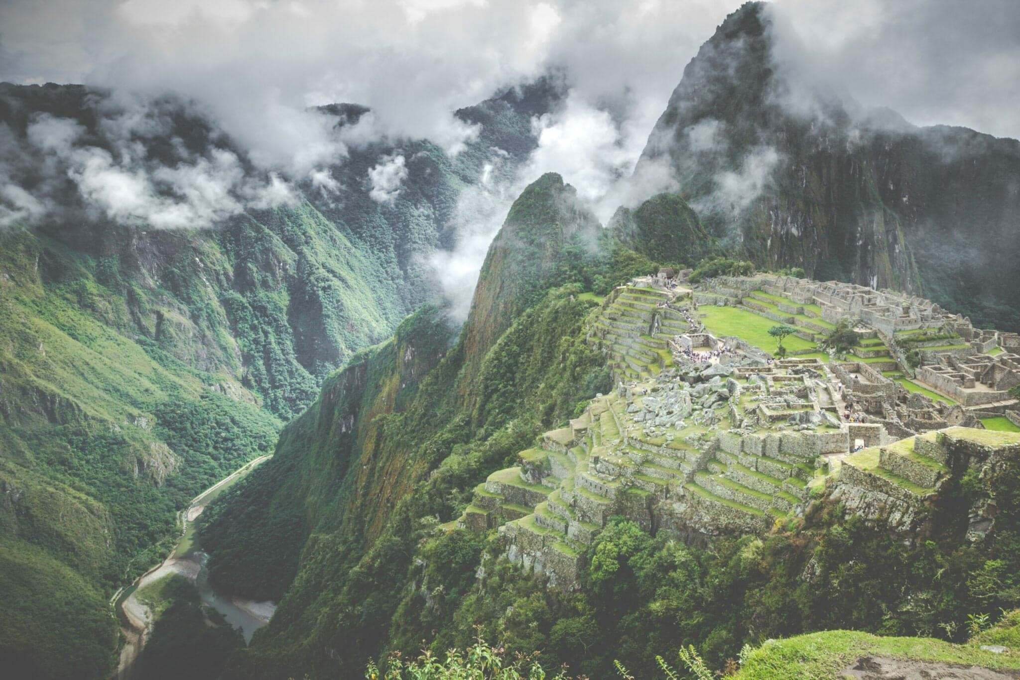 Peruvian Superfoods Waiting to be Discovered by Food Companies
