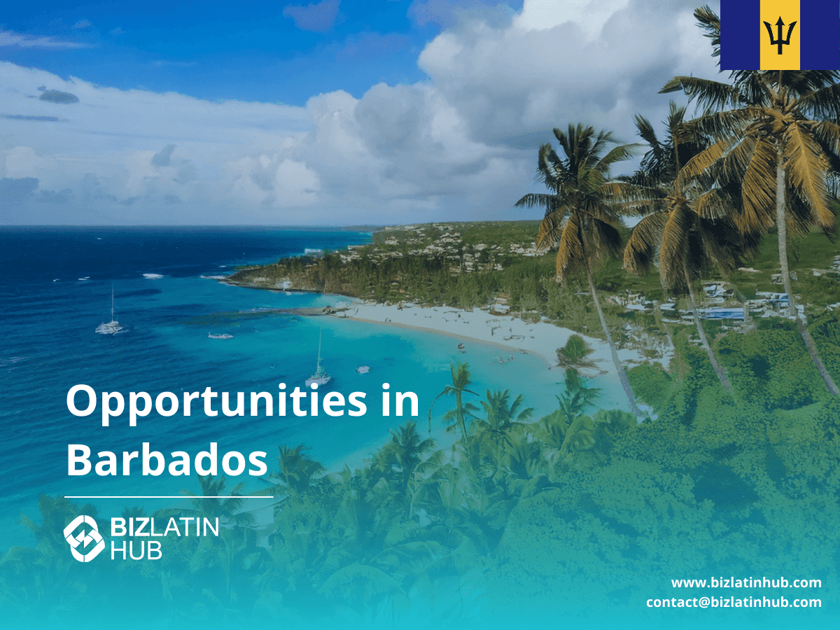 A Business Guide to Barbados