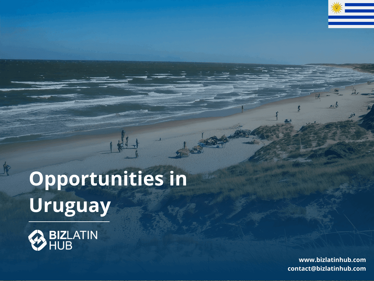 Doing Business in Uruguay in 2025 – Company Formation, Legal Setup & Investment Insights