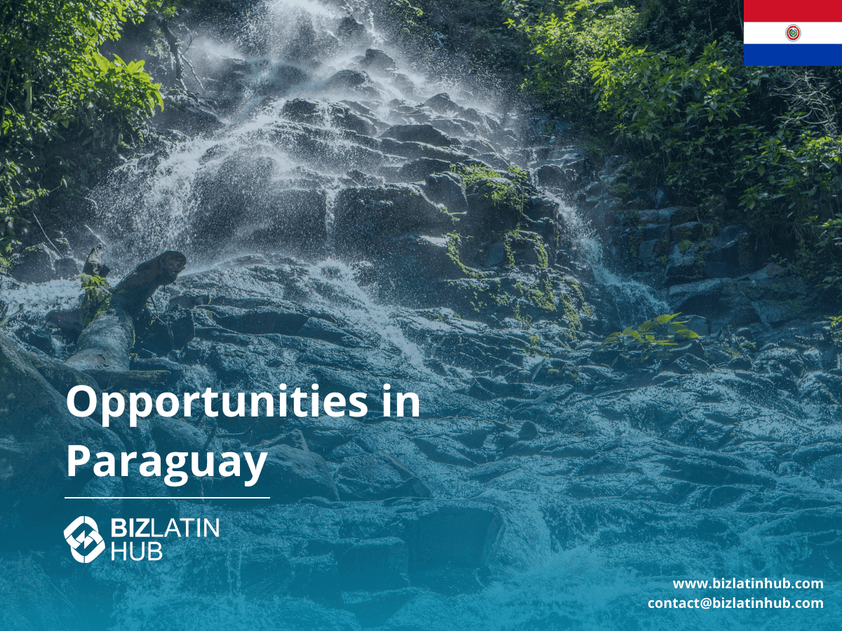 Doing Business in Paraguay: Low Taxes & Good Opportunities