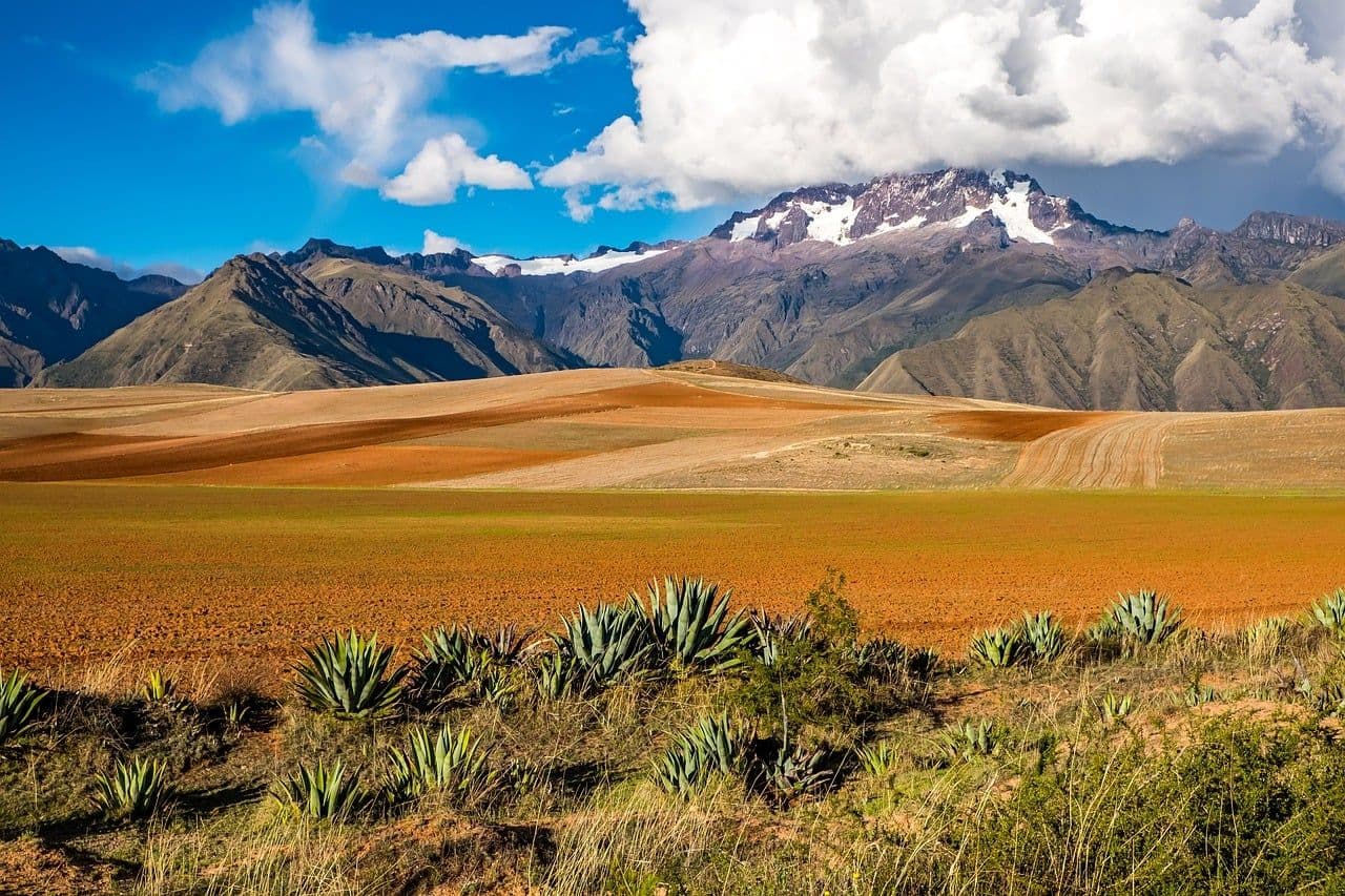 Professionals boosting technology and innovation in Bolivia