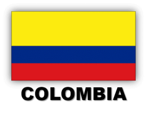 Servicios Empresariales Colombia