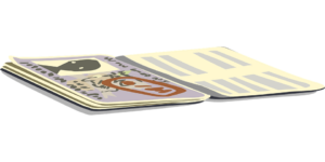 peru visa process