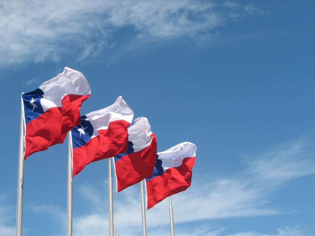 Chile wags waving