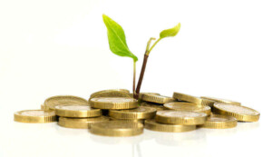 Investment requirements