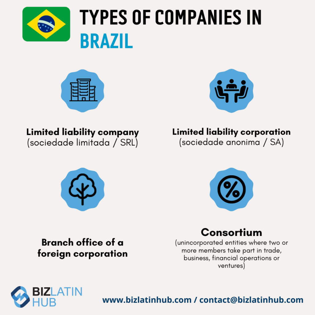 Biz Latin Hub Infographic for an article on types of companies in Brazil