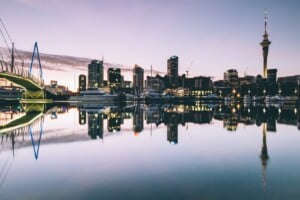 Pros and Cons of Business Structures in New Zealand