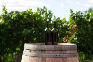 new zealand wine exports