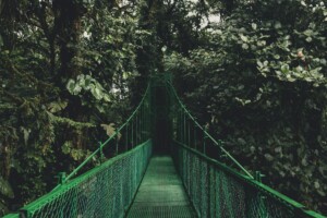 Costa Rica's nature