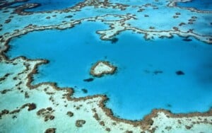 Great Barrier Reef Australia