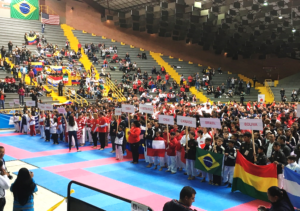 Panamerican Karate Championships