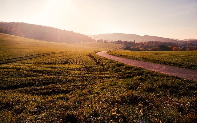 agricultural land