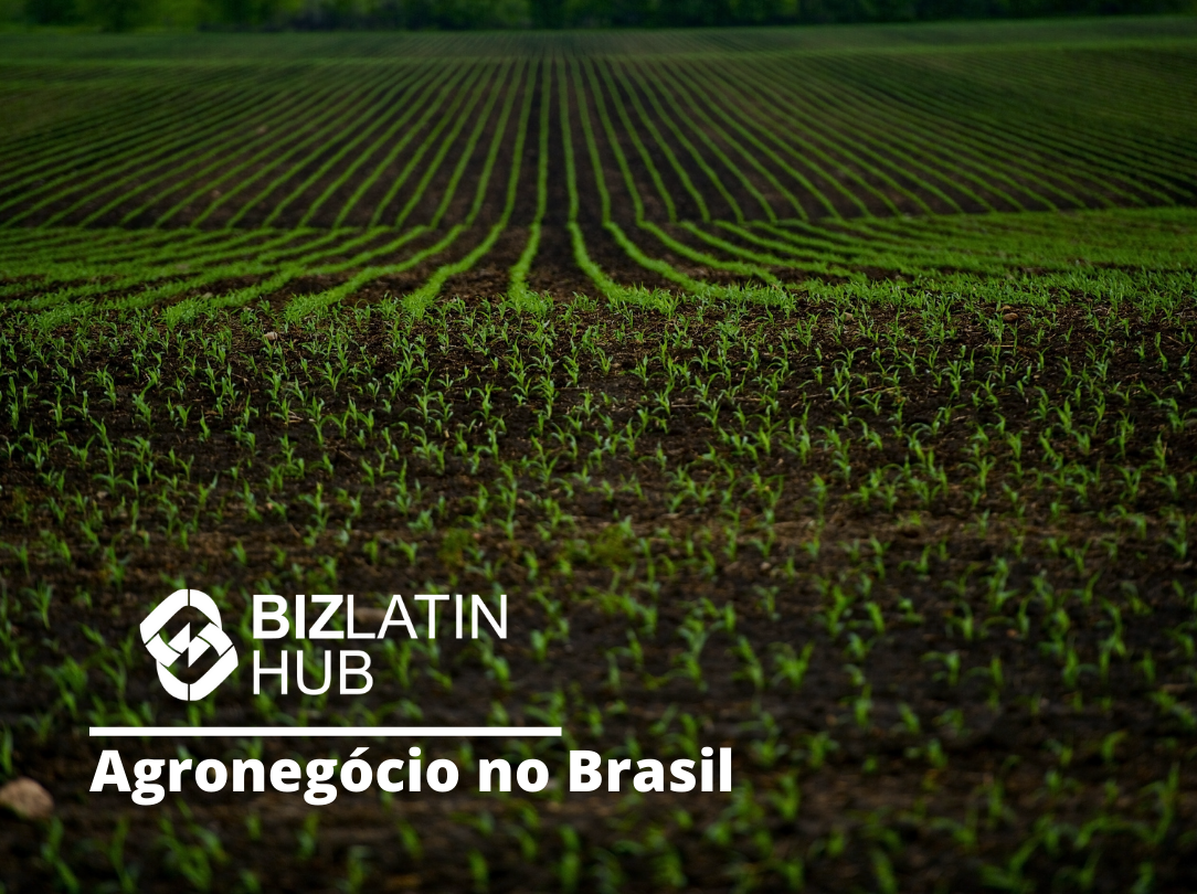 Featured image para um artigo sobre agronegocio no brasil